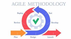 Agile Methodology: An Overview of the Agile Model in Software Testing